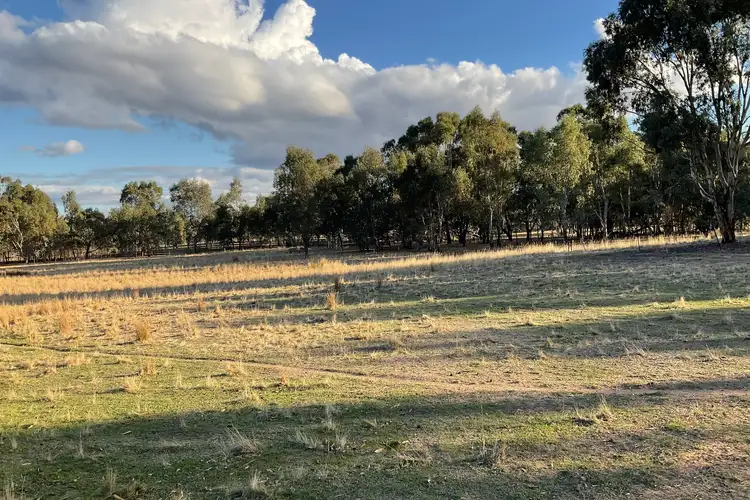 Rocky Ridge Road, Carapooee VIC 3477
