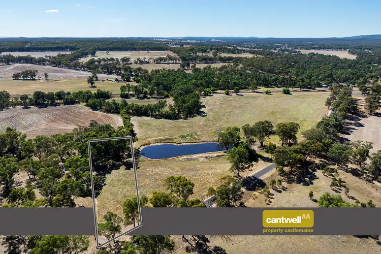 Main view of Homely rural property listing, CA A15, 33 Avoca-Bealiba Road, Bealiba VIC 3475