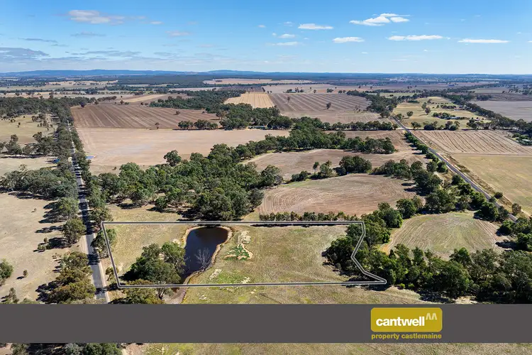Main view of Homely rural property listing, CA 11, 338 Avoca-Bealiba Road, Bealiba VIC 3475