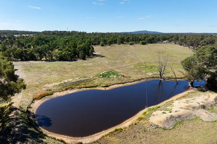 Second view of Homely rural property listing, CA 11, 338 Avoca-Bealiba Road, Bealiba VIC 3475