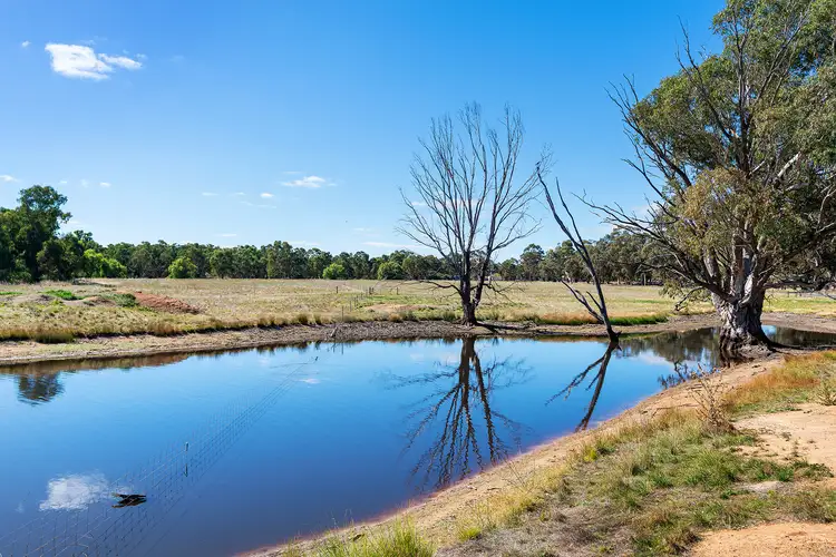 Fourth view of Homely rural property listing, CA 11, 338 Avoca-Bealiba Road, Bealiba VIC 3475