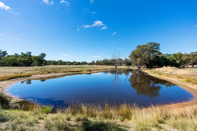 Fifth view of Homely rural property listing, CA 11, 338 Avoca-Bealiba Road, Bealiba VIC 3475