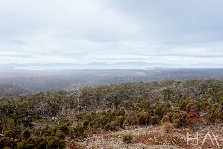 Second view of Homely land listing, LOT 33 Mcneills Road, Swansea TAS 7190
