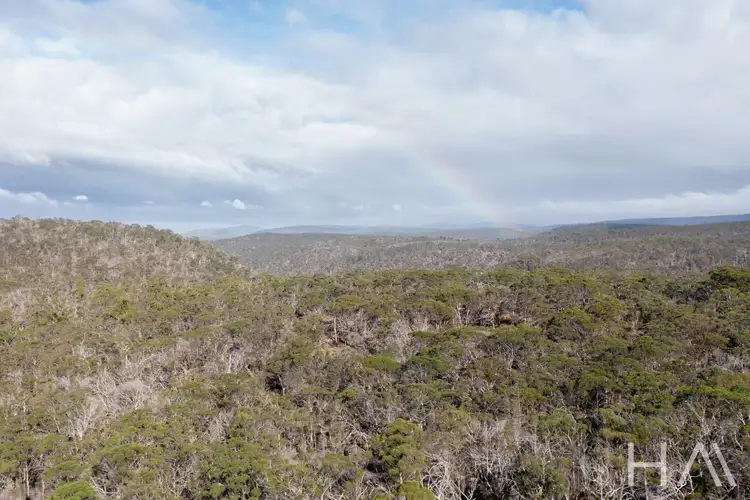 Sixth view of Homely land listing, LOT 33 Mcneills Road, Swansea TAS 7190