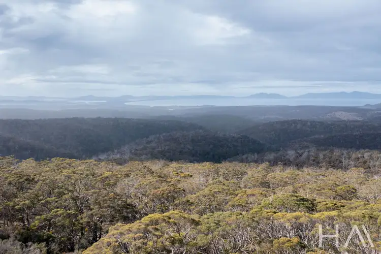 Seventh view of Homely land listing, LOT 33 Mcneills Road, Swansea TAS 7190