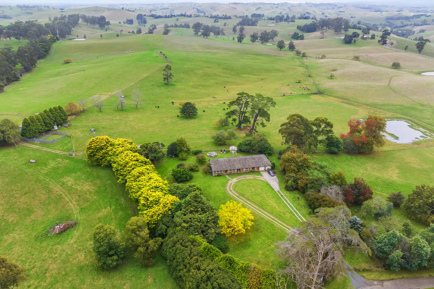 Main view of Homely rural property listing, 2775 Drouin-Korumburra Road, Poowong East VIC 3988