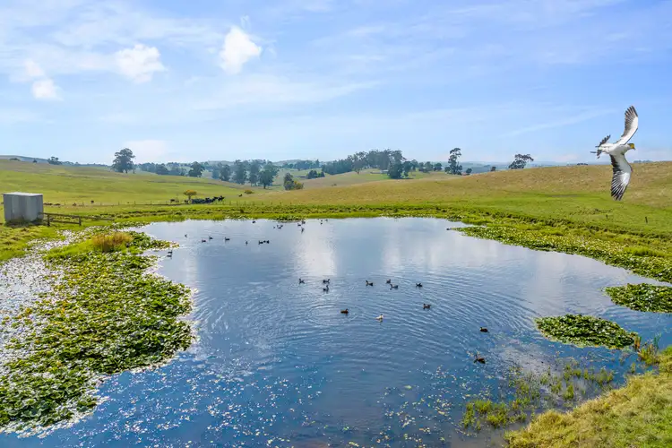 Fourth view of Homely rural property listing, 2775 Drouin-Korumburra Road, Poowong East VIC 3988