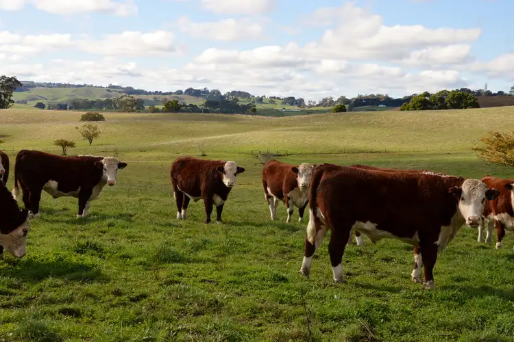 Fifth view of Homely rural property listing, 2775 Drouin-Korumburra Road, Poowong East VIC 3988