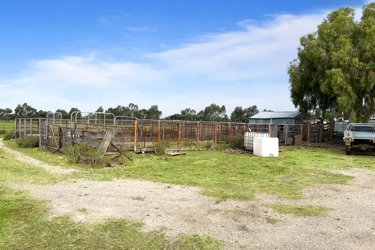 Sixth view of Homely rural property listing, 84B Murraydale Road, Swan Hill VIC 3585