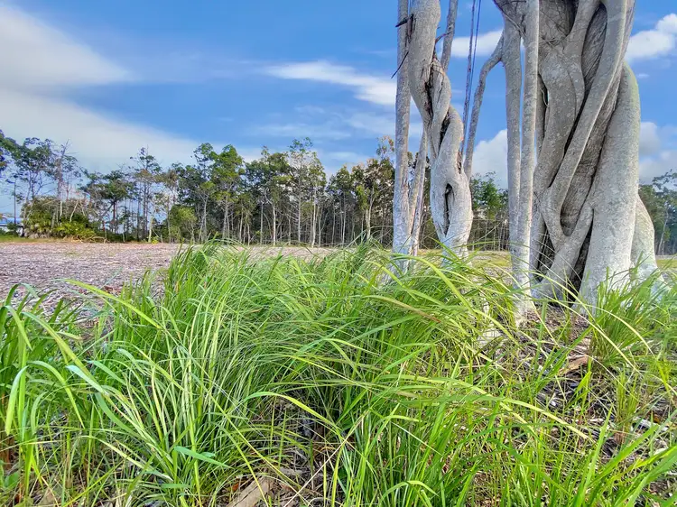 Third view of Homely land listing, Sanderling Drive, Boonooroo QLD 4650