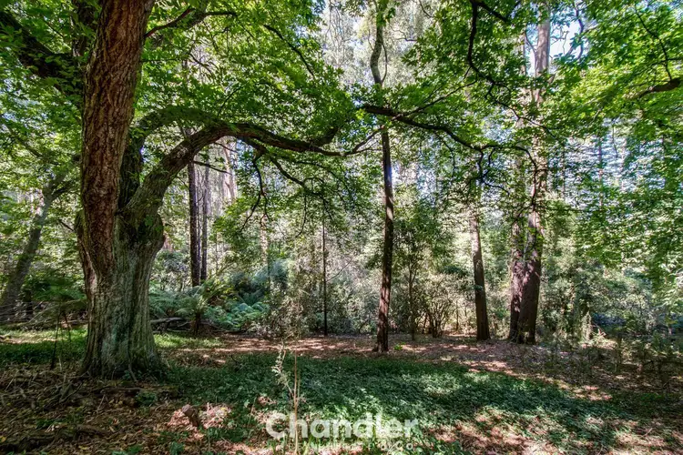 Fourth view of Homely land listing, 1 Misty Gully, Menzies Creek VIC 3159