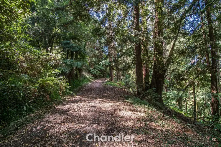 Fifth view of Homely land listing, 1 Misty Gully, Menzies Creek VIC 3159