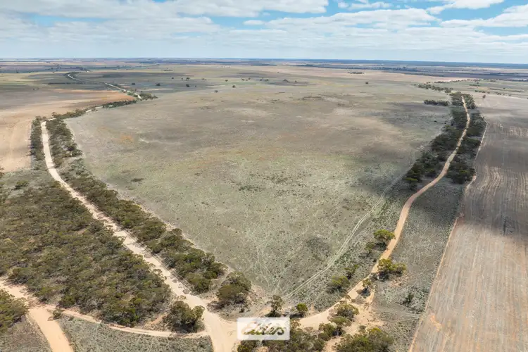 5 Morrison Plain Road, Cowangie VIC 3506