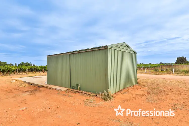Sixth view of Homely rural property listing, 405 Euston Avenue, Red Cliffs VIC 3496