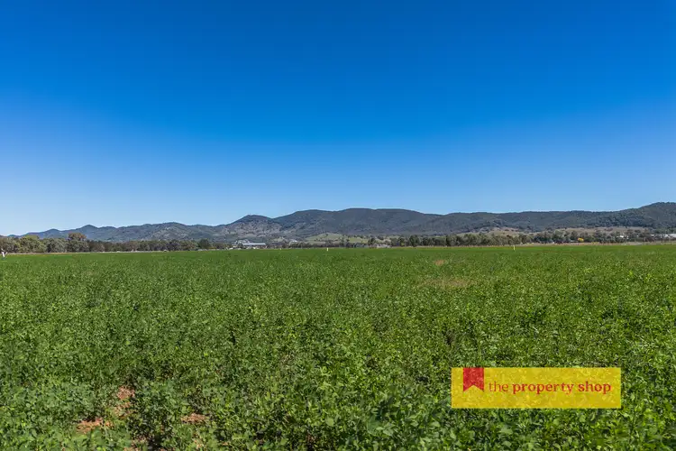 Third view of Homely rural property listing, 146 Wilbetree Road, Mudgee NSW 2850