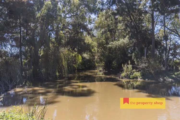 Fourth view of Homely rural property listing, 146 Wilbetree Road, Mudgee NSW 2850