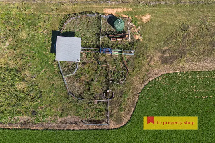 Sixth view of Homely rural property listing, 146 Wilbetree Road, Mudgee NSW 2850