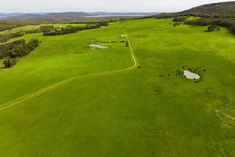 Fourth view of Homely rural property listing, 256 Mount Richard Road, Kalgan WA 6330