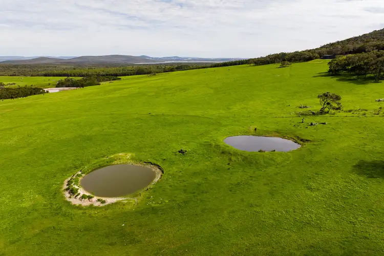 Fifth view of Homely rural property listing, 256 Mount Richard Road, Kalgan WA 6330