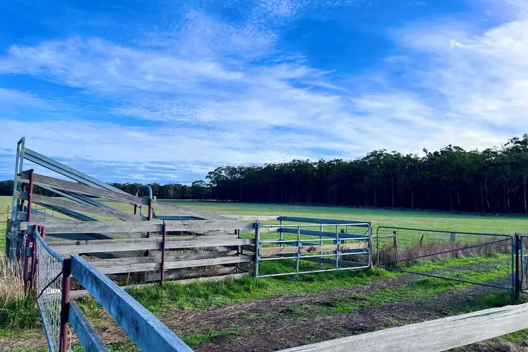 Second view of Homely rural property listing, Cemetery Road, Cobden VIC 3266