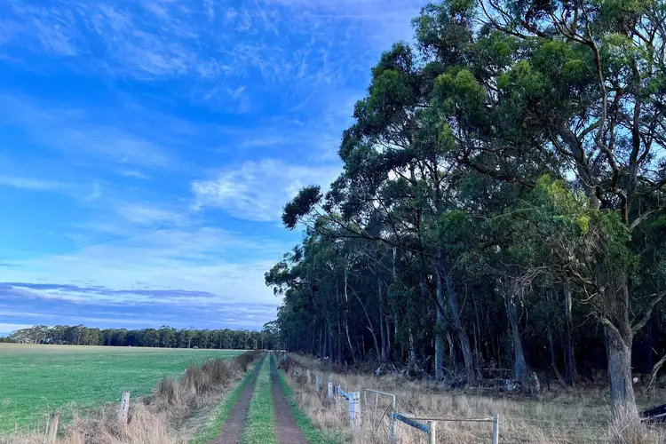 Fourth view of Homely rural property listing, Cemetery Road, Cobden VIC 3266