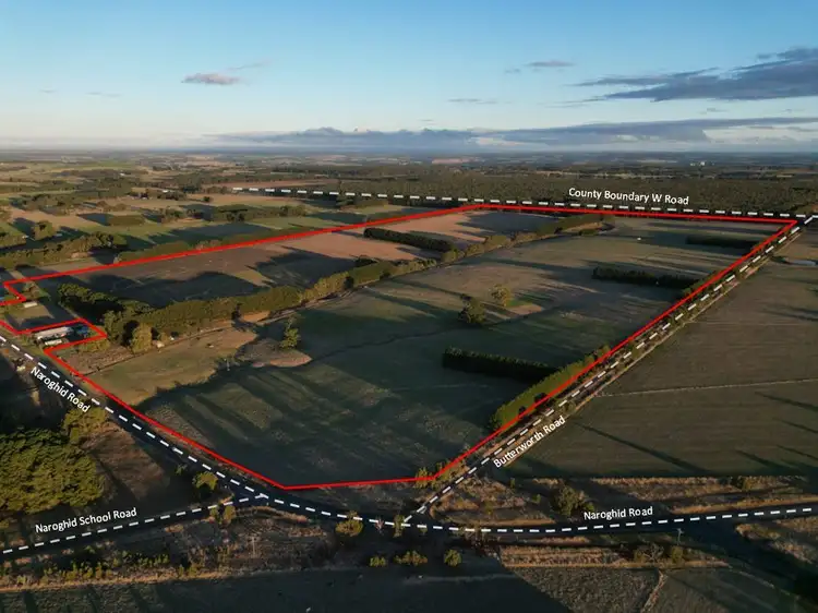 Second view of Homely rural property listing, 564 Naroghid Road, Naroghid VIC 3266