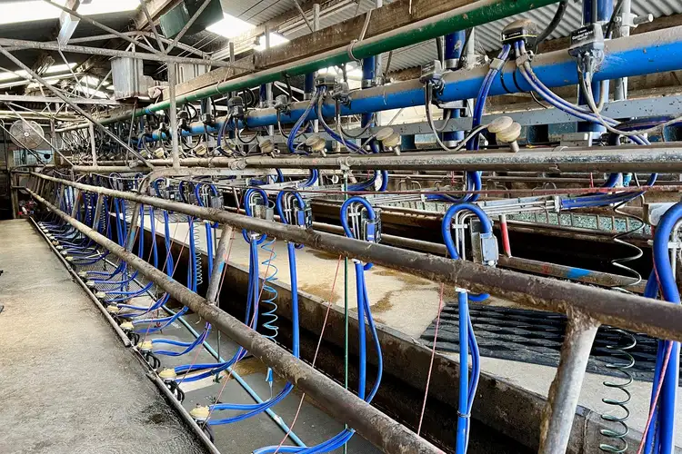 Fifth view of Homely rural property listing, 564 Naroghid Road, Naroghid VIC 3266