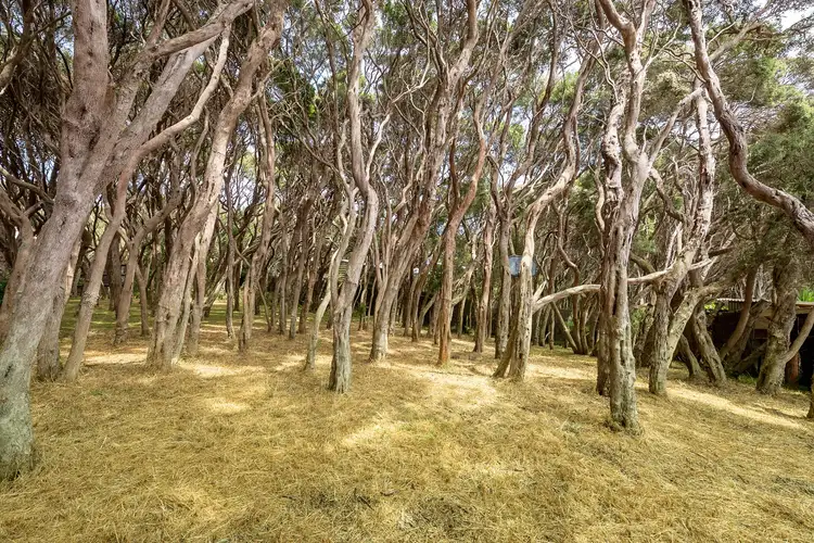 Third view of Homely land listing, 47 Parson Street, Rye VIC 3941