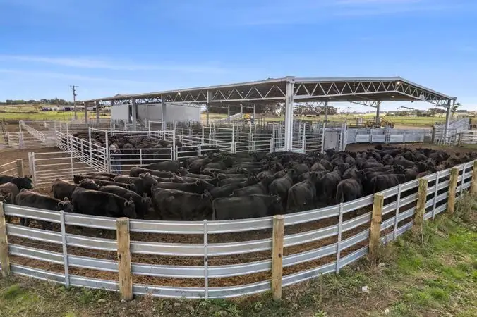 Fourth view of Homely rural property listing, Timboon-Terang Road, Ecklin South VIC 3265