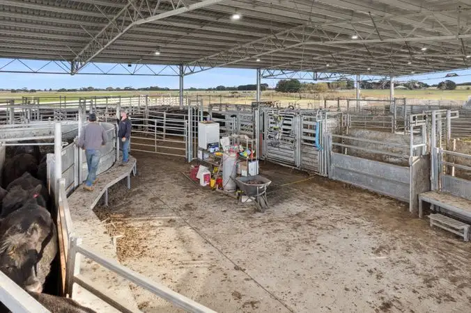 Sixth view of Homely rural property listing, Timboon-Terang Road, Ecklin South VIC 3265