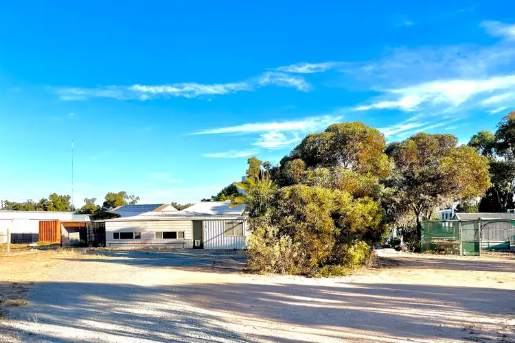 12-14 Davis Terrace, Wirrulla SA 5661