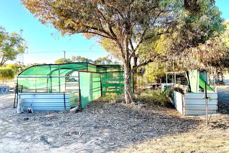 Sixth view of Homely house listing, 12-14 Davis Terrace, Wirrulla SA 5661