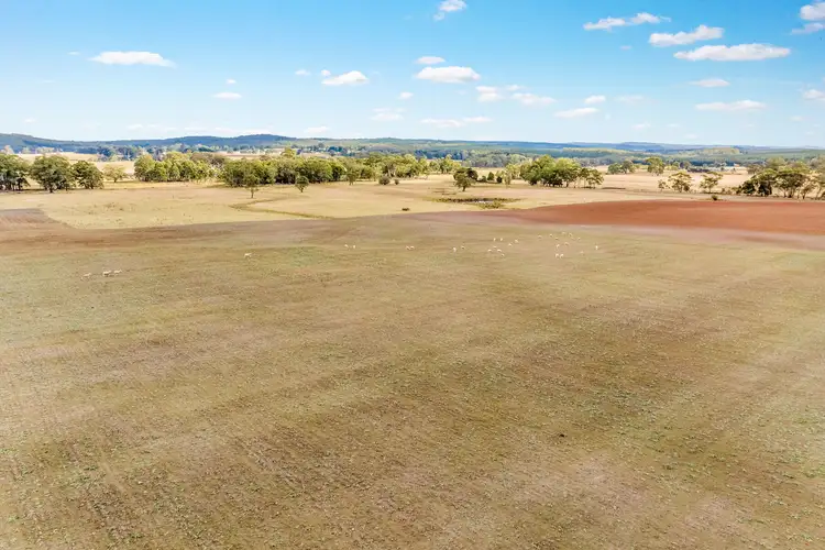 Fifth view of Homely rural property listing, Kennedy's Lane, Bunding VIC 3342
