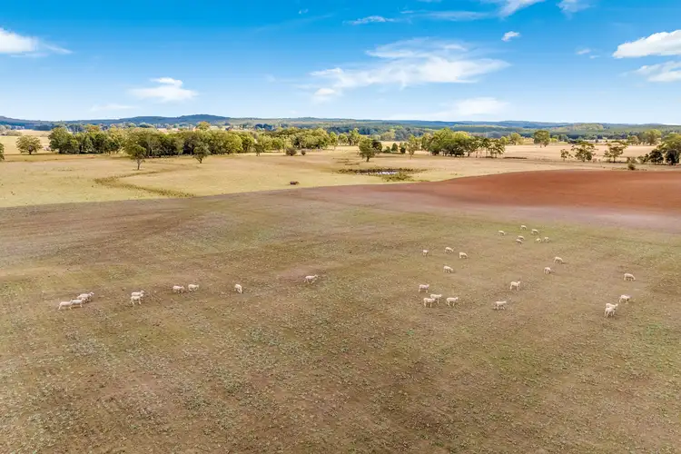 Sixth view of Homely rural property listing, Kennedy's Lane, Bunding VIC 3342