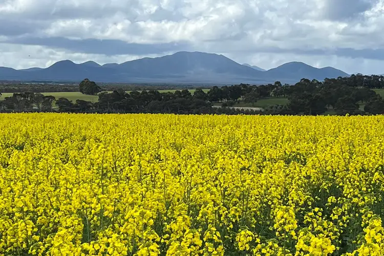 Redgum Pass Road, Kendenup WA 6323