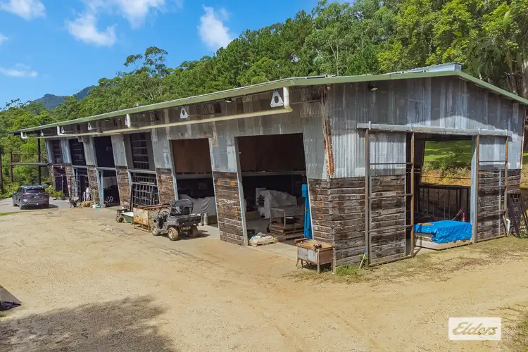 Fifth view of Homely rural property listing, 1449 Tyalgum Road, Tyalgum NSW 2484