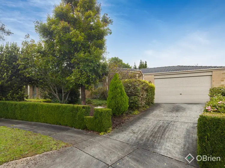 Main view of Homely house listing, 6 Hume Court, Warragul VIC 3820