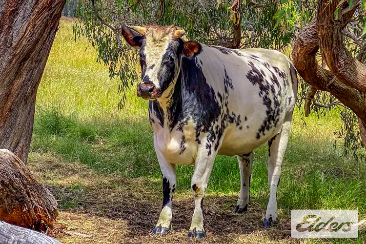 Seventh view of Homely rural property listing, CA5 Sec J Moyreisk-Redbank Road, Redbank VIC 3477