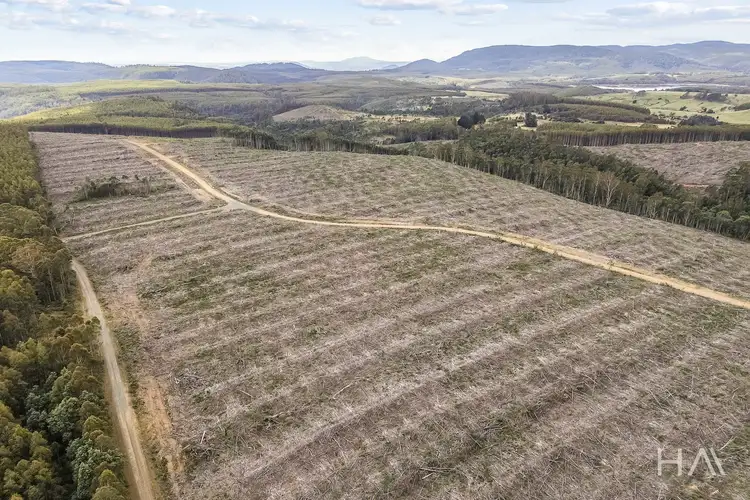Main view of Homely rural property listing, 124 & 126 Camden Road, Tayene TAS 7259