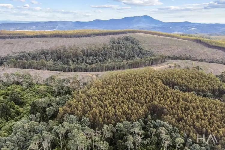 Third view of Homely rural property listing, 124 & 126 Camden Road, Tayene TAS 7259