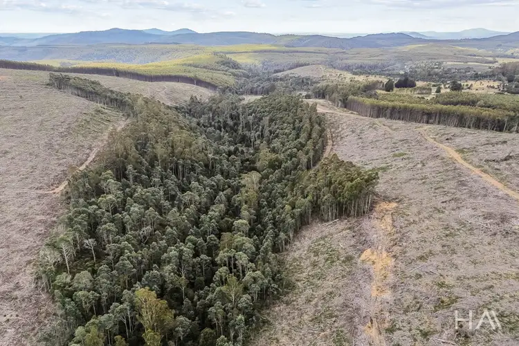 Fourth view of Homely rural property listing, 124 & 126 Camden Road, Tayene TAS 7259
