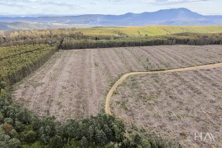 Fifth view of Homely rural property listing, 124 & 126 Camden Road, Tayene TAS 7259