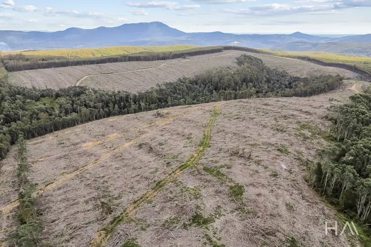 Seventh view of Homely rural property listing, 124 & 126 Camden Road, Tayene TAS 7259