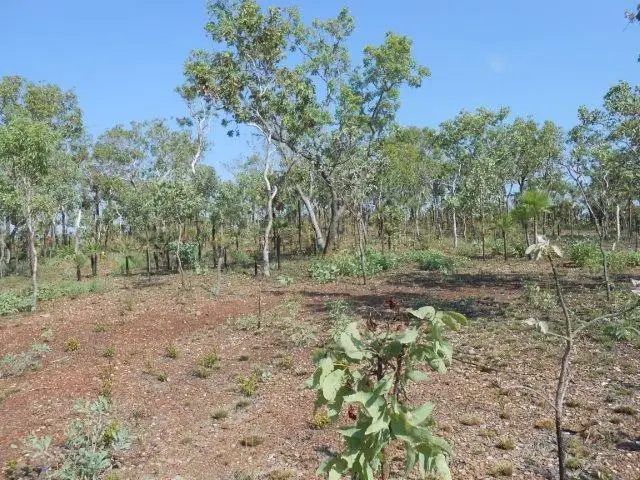 Fifth view of Homely land listing, 6710 Stuart Highway, Coomalie Creek NT 822