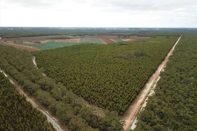 Main view of Homely rural property listing, LOT 2121 Clear Hills Road, Perillup WA 6324