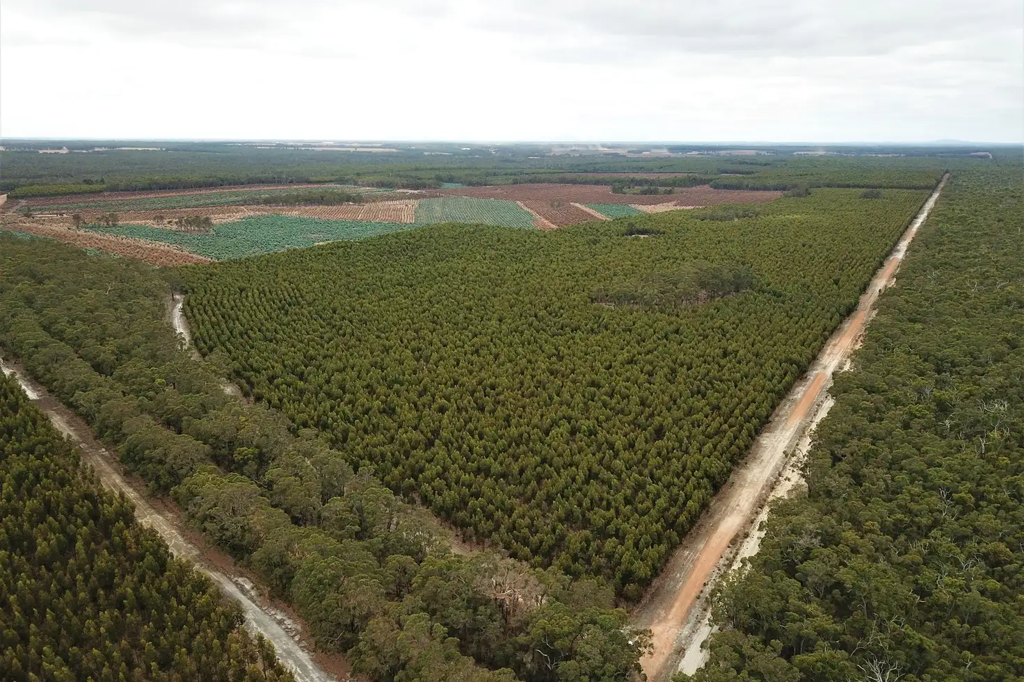Main view of Homely rural property listing, LOT 2121 Clear Hills Road, Perillup WA 6324