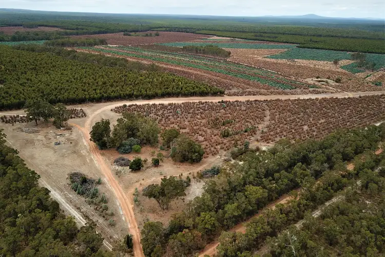 Second view of Homely rural property listing, LOT 2121 Clear Hills Road, Perillup WA 6324