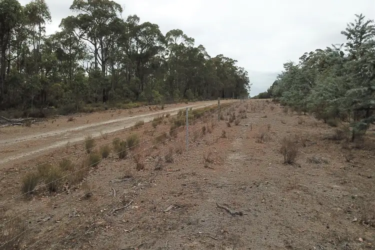 Seventh view of Homely rural property listing, LOT 2121 Clear Hills Road, Perillup WA 6324