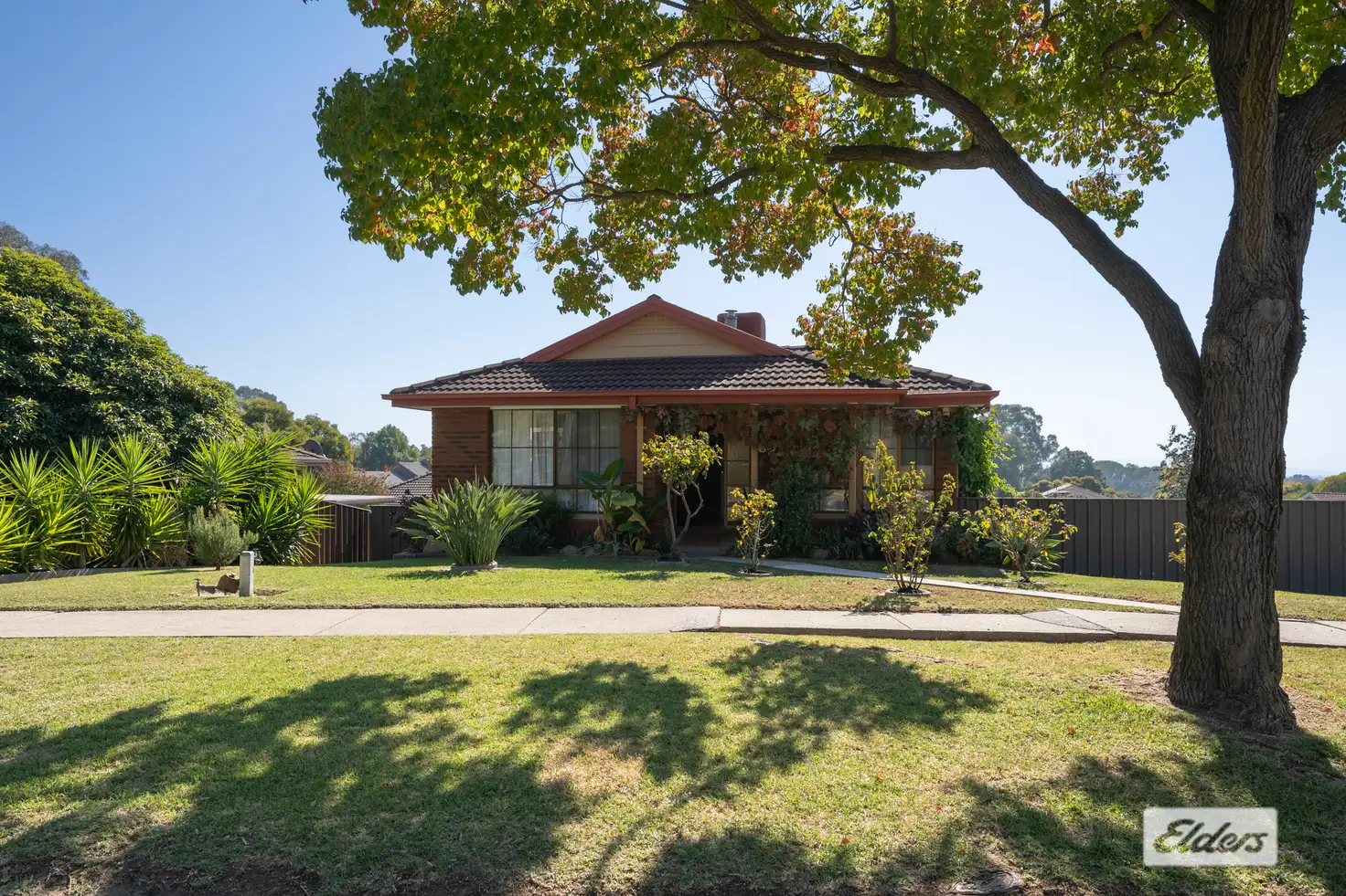 Main view of Homely house listing, 62 Menzies Street, Wodonga VIC 3690