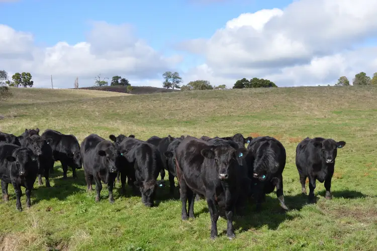 Third view of Homely rural property listing, 475 Grantville - Glen Alvie Road, Almurta VIC 3979